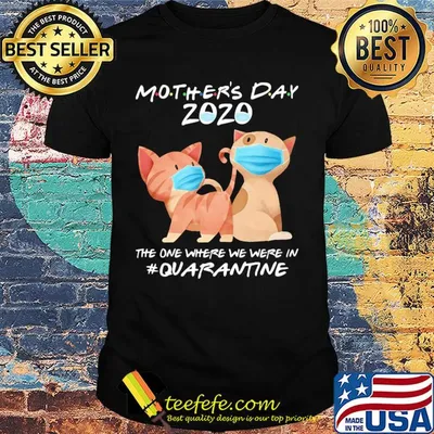 Mother's day 2020 the one where we were in quarantine Cat mask shirt