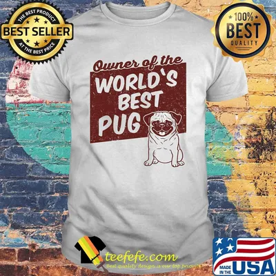 Owner of the world's best Pug dog shirt