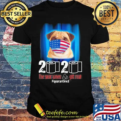 Pug mask 2020 the year when shit got real quarantined toilet paper American flag veteran Independence Day shirt