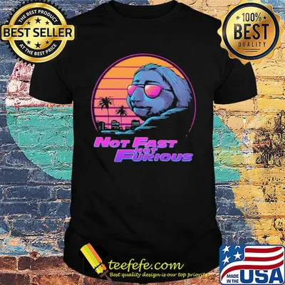 Sloth Not fast not furious vintage shirt