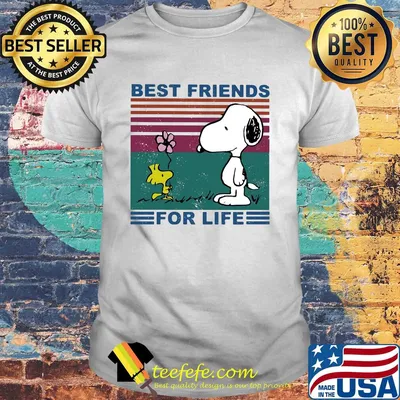 Snoopy and woodstock best friends for life vintage shirt