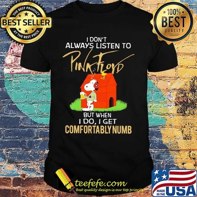 Snoopy and woodstock i don't always listen to pink floyd but when i do i get comfortably numb shirt
