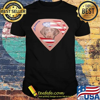 Superman labrador retriever american flag independence day shirt