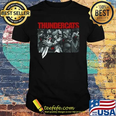 Thundercats Cartoon poster wall art home shirt