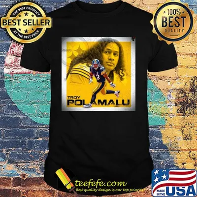 Troy polamalu pittsburgh steelers football team shirt