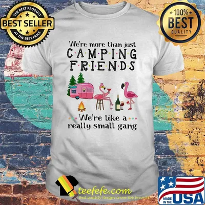 We're more than just camping friends we're like a really small gang Flamingo shirt