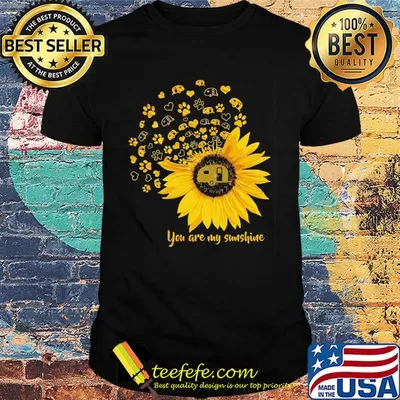 You are my sunshine sunflower car shirt