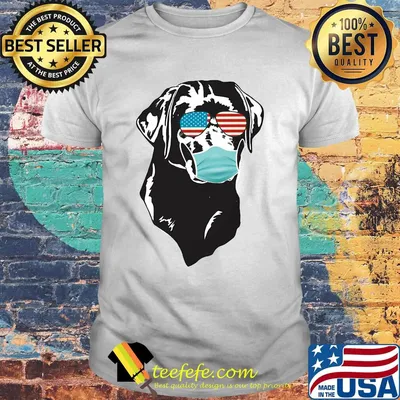4th of july dog Coonhound glasses mask shirt