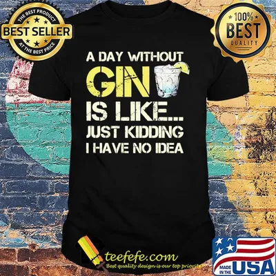 A day without gin is like just kidding I have no idea shirt