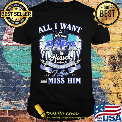 All I want is for my papa in heaven to know how much I love and miss him shirt