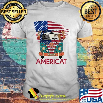 Americat Car American Flag Independence Day Shirt