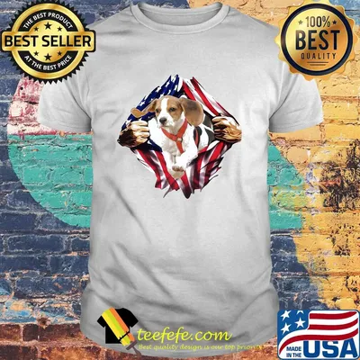 Beagle On The Flag Independence Day Shirt