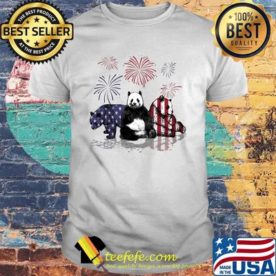 Bear firework american flag independence day shirt