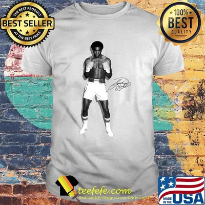 Boxing sugar ray leonard signature shirt