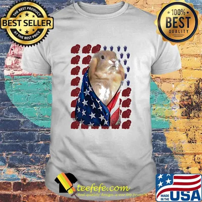 Bunny firework american flag independence day shirt