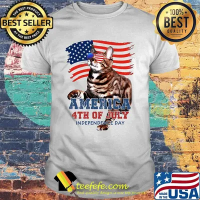 Cat American 4th of July flag veteran Independence day shirt