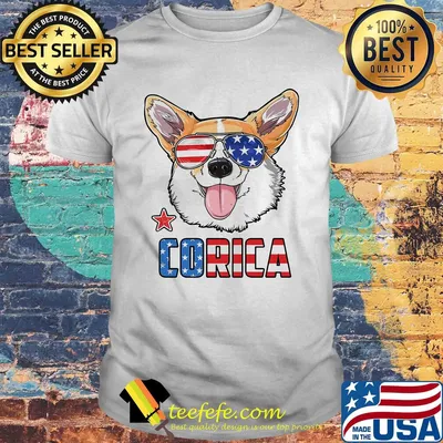 Corica American flag veteran Independence day shirt