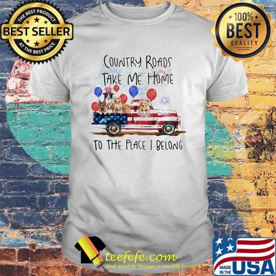 Country roads take me home to the place I belong dogs truck american flag independence day shirt