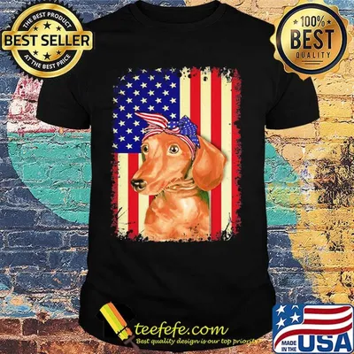 Dachshund american flag independence day shirt