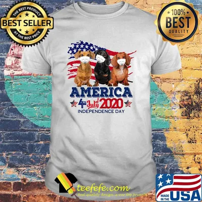 Dachshund mask america 4 july of 2020 independence day shirt