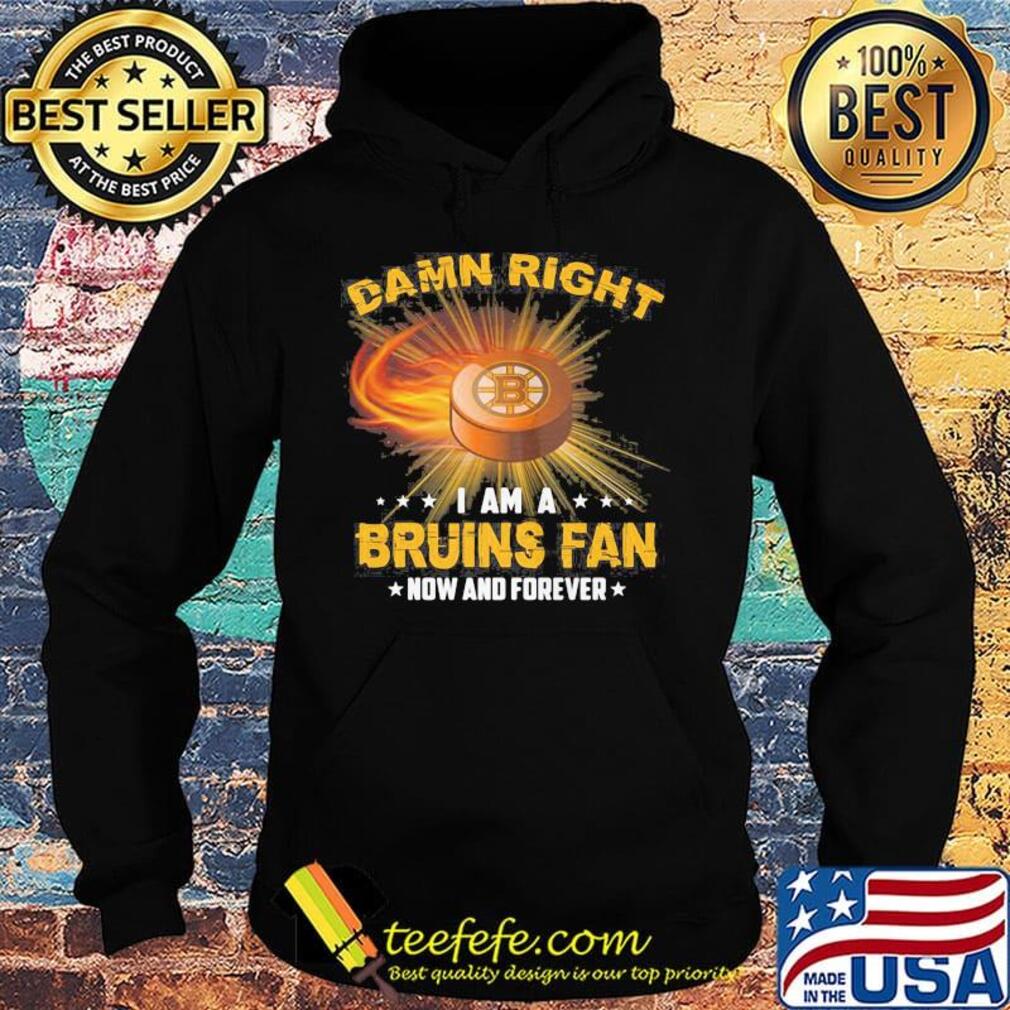 Damn right i am a boston bruins fan now and forever stars s Hoodie Damn right i am a boston bruins fan now and forever stars s Hoodie