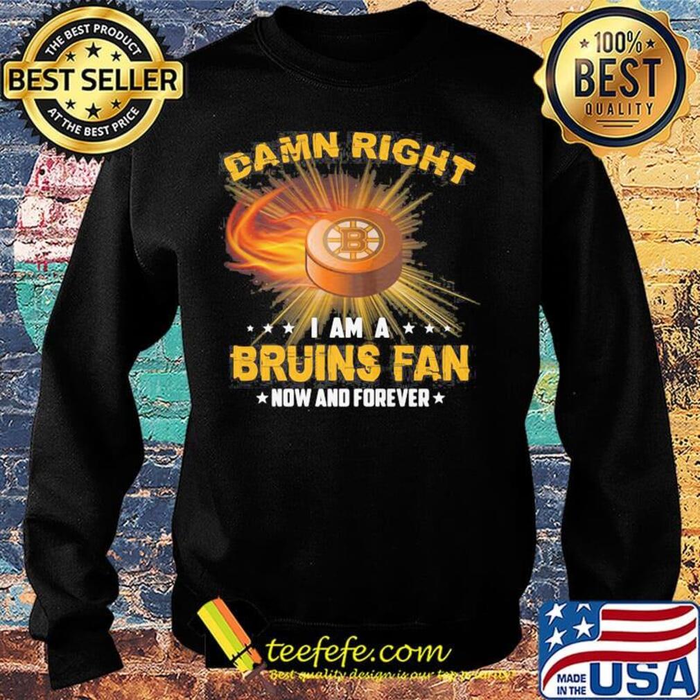 Damn right i am a boston bruins fan now and forever stars s Sweater Damn right i am a boston bruins fan now and forever stars s Sweater