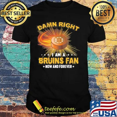 Damn right i am a boston bruins fan now and forever stars shirt