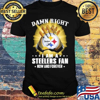 Damn right i am a pittsburgh steelers fan now and forever stars shirt