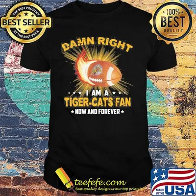 Damn right i am a tiger-cats fan now and forever stars shirt