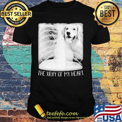 Dog Labrador Retriever the xray of my heart shirt the xray of my heart shirt
