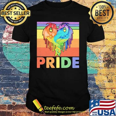 Dragon Heart LGBT Pride Vintage Retro Shirt
