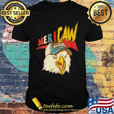 Eagles mericaw american flag independence day shirt