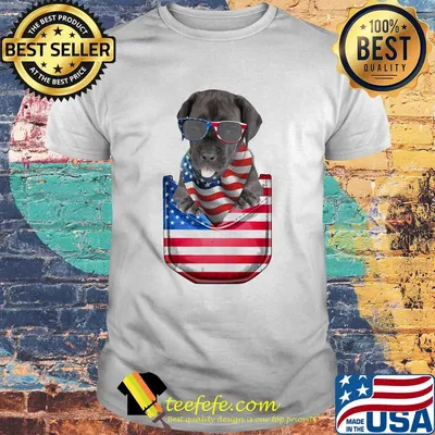 Great dane pocket american flag independence day shirt