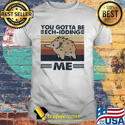 Hedgehog you gotta be ech-idding me vintage retro shirt