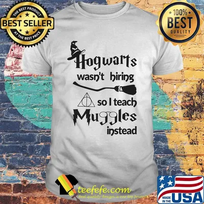 Hogwarts wasn't hiring so I teach muggles instead shirt