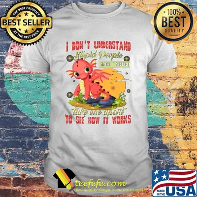 I Don't Understand Stupid People Take One Apart To See How It Works Fire Dragon Shirt