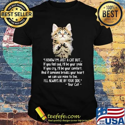 I know I'm just a cat but I'll always be by your side your cat shirt