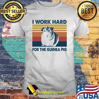 I work hard for the guinea pig vintage retro shirt