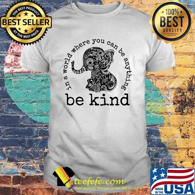 In a world where you can be anything Be Kind shirt
