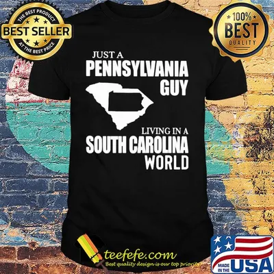 Just a pennsylvania guy living in a south carolina world map shirt