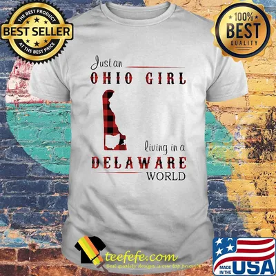 Just an ohio girl living in a delaware world map shirt