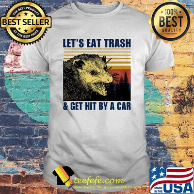 Let's eat trash and get hit by a car vintage retro shirt