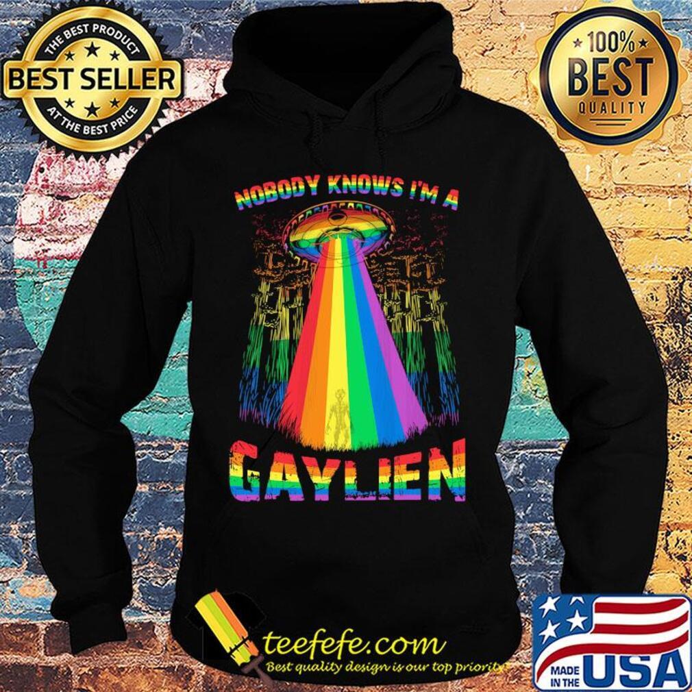 Lgbt ufo nobody knows im a gaylien s Hoodie Lgbt ufo nobody knows im a gaylien s Hoodie