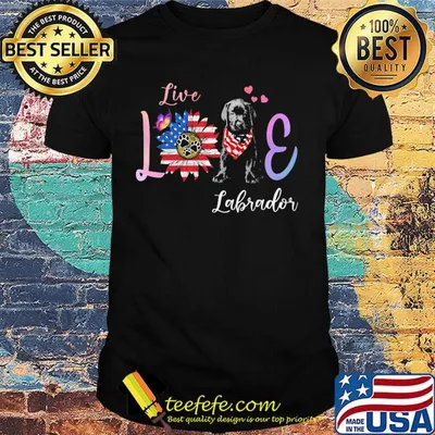 Live love paw labrador sunflower butterfly american flag independence day shirt