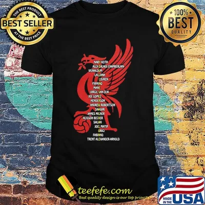 Liverpool you'll never walk alone shirt