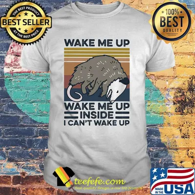 Mouse wake me up wake me up inside I can't wake up vintage retro shirt