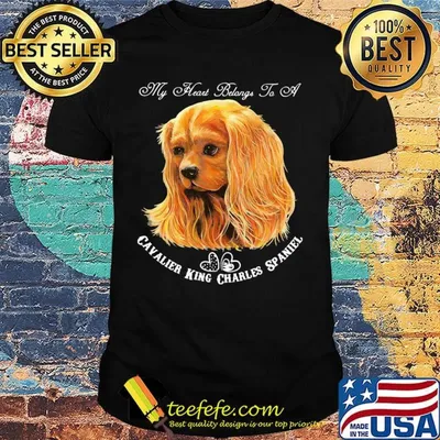 My heart belongs to a cavalier king charles spaniel dog shirt