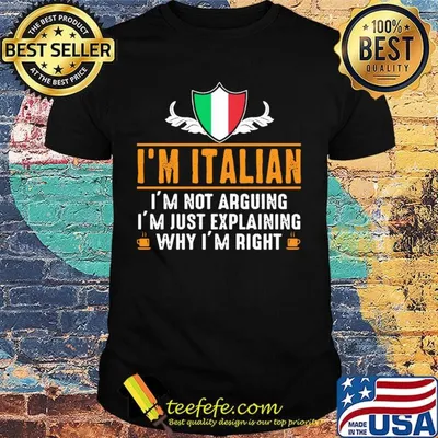 Official I'm Italian I'm not arguing I'm just explaining why I'm right shirt