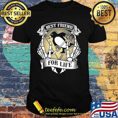Pittsburgh penguins best friend for life seketon shirt