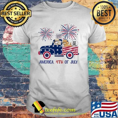 Poodle America 4th Of July flag Shirt